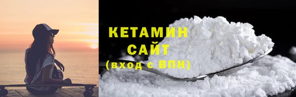 индика Бородино