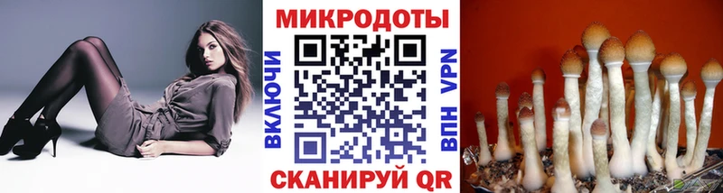 Галлюциногенные грибы Cubensis  даркнет сайт  Перевоз 