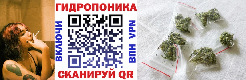 darknet наркотические препараты  Перевоз  Шишки марихуана Amnesia  где можно купить  